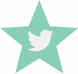 fanplus